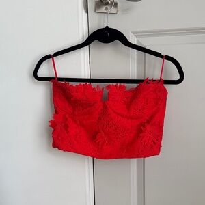 Red Floral Lace Crop Top - Women